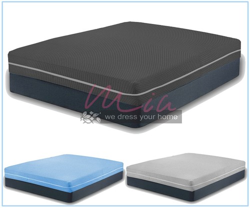 Anti bed bug mattress - anti,